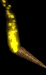 torch